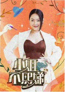 久久久免费综艺慢速飞行